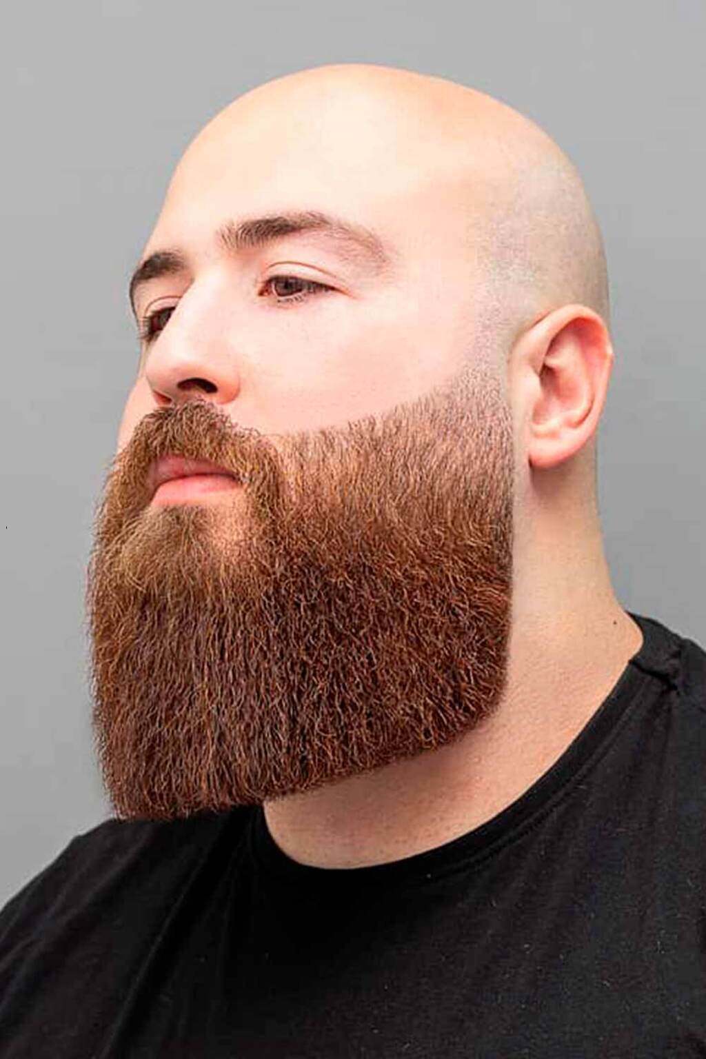 Guia Definitivo da Barba Grisalha