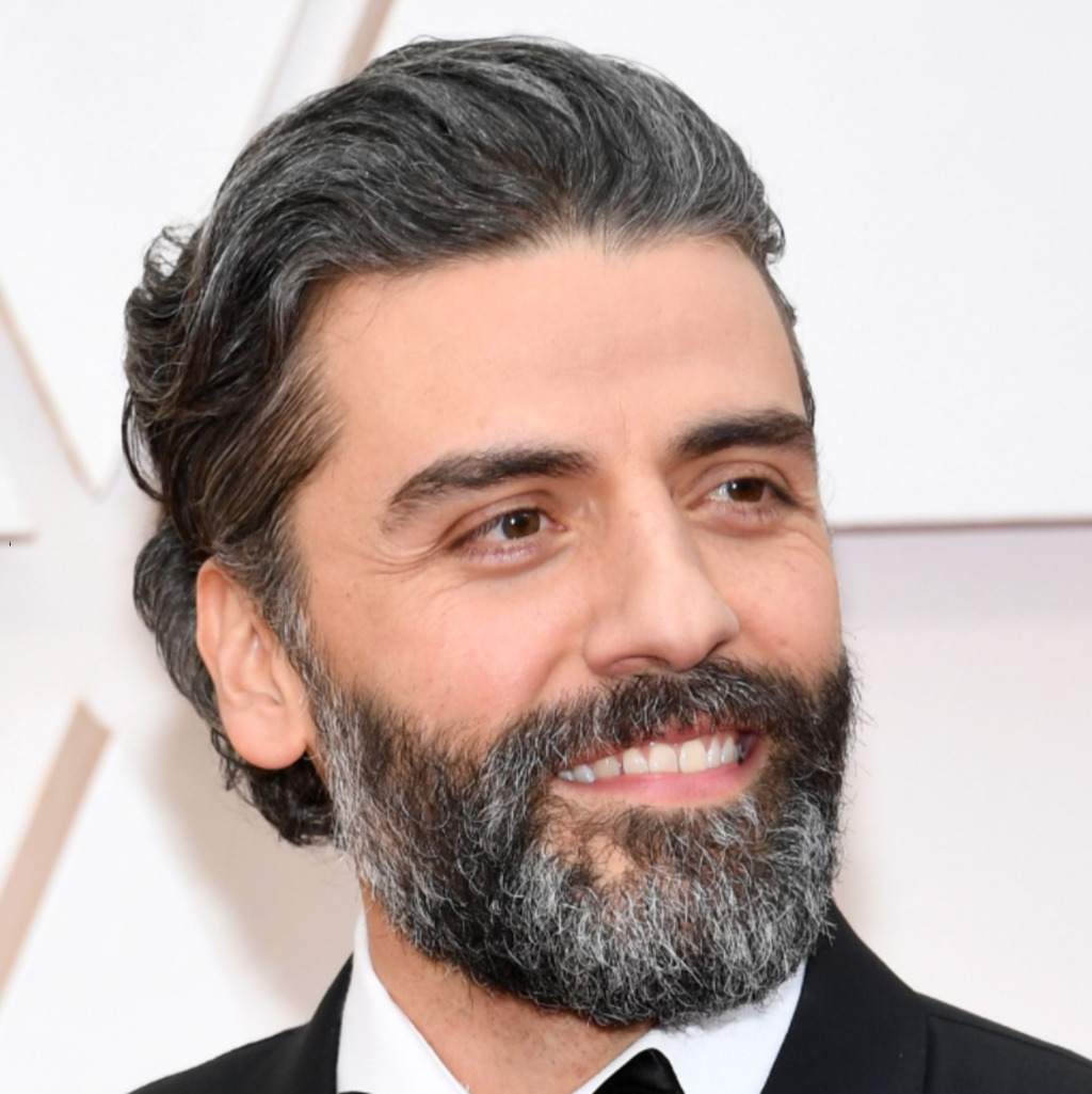 Guia Definitivo da Barba Grisalha