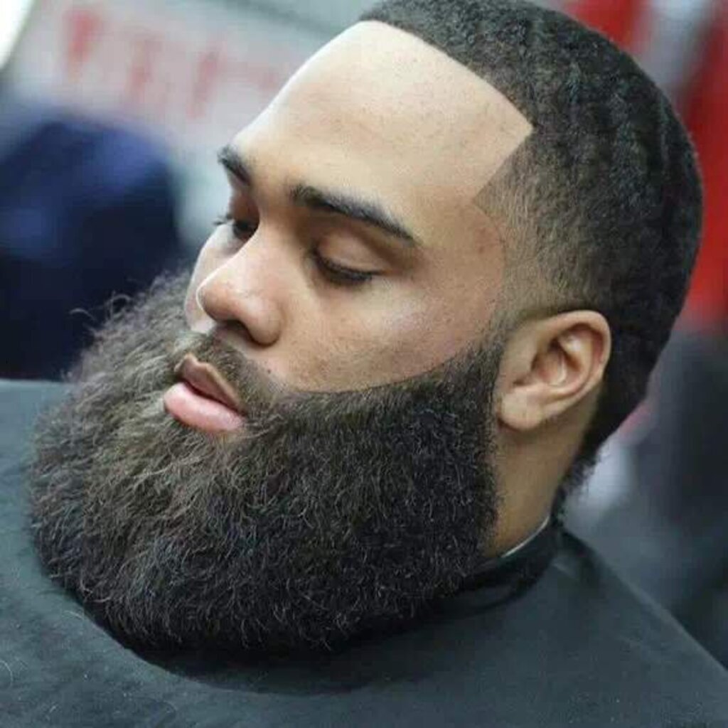 Guia Definitivo da Barba Grisalha